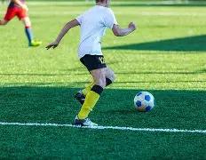 中国体坛老,将全运会共,谱谢幕篇章,米兰体育官网,米兰体育直播,体育赛事直播,足球直播